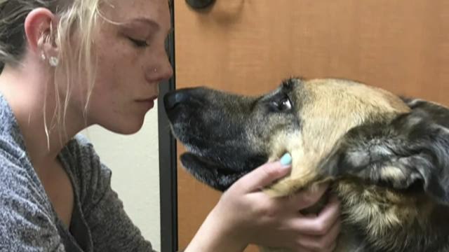 Denton family makes dog's dying wish come true